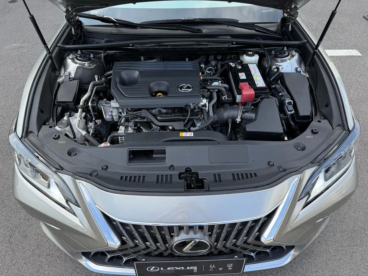 Lexus ES (Imported) 2024 ES200 2.0 Stepless Edition Automatic Gear 8