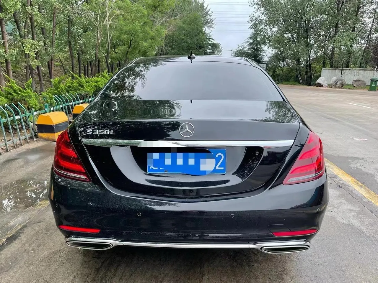 Mercedes Benz S-Class (Imported) 2020 S 350 L 3.0T Honorable Zhen Tibetan Edition Automatic Gear 8