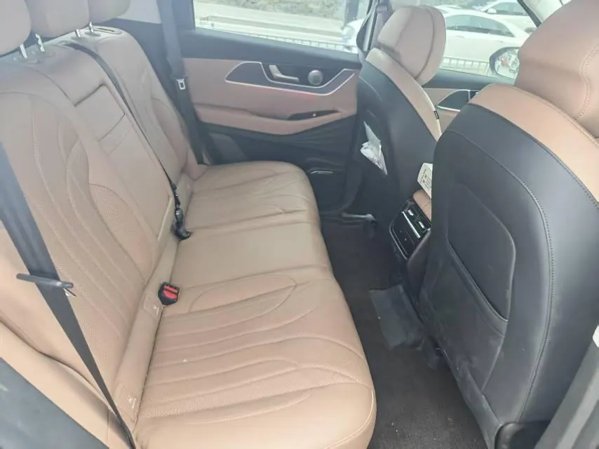 Chery 2025 Ruihu 8 PLUS 2.0TGDI 390TGDI Ring Tower Champion Edition Automatic Gear 3