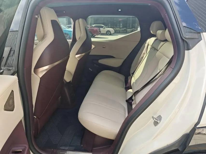 Zeekr 2025 Zeekr X five-seat rear-drive automatic gear 5
