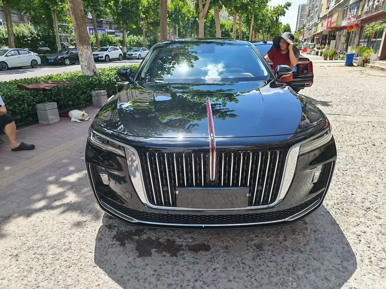 HongQi 2020 H9 48V 2.0T Zhilian Flag Edition Automatic Gear 2