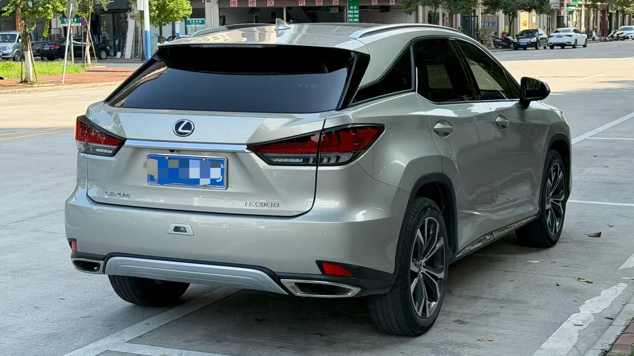 Lexus RX (Imported) 2020 RX300 2.0T Four-wheel Drive Elegant Automatic Gear 5
