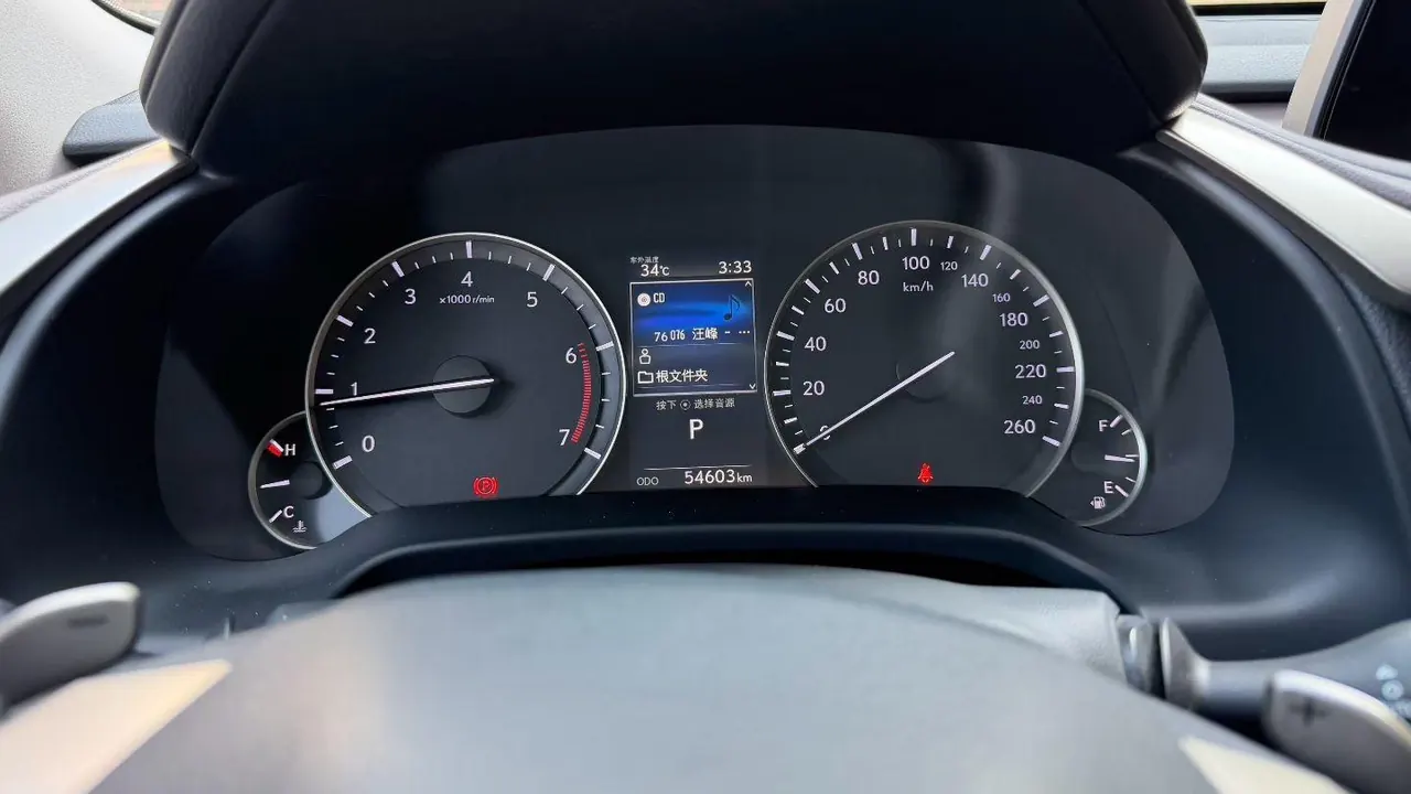 Lexus RX (Imported) 2020 RX300 2.0T Four-wheel Drive Elegant Automatic Gear 7