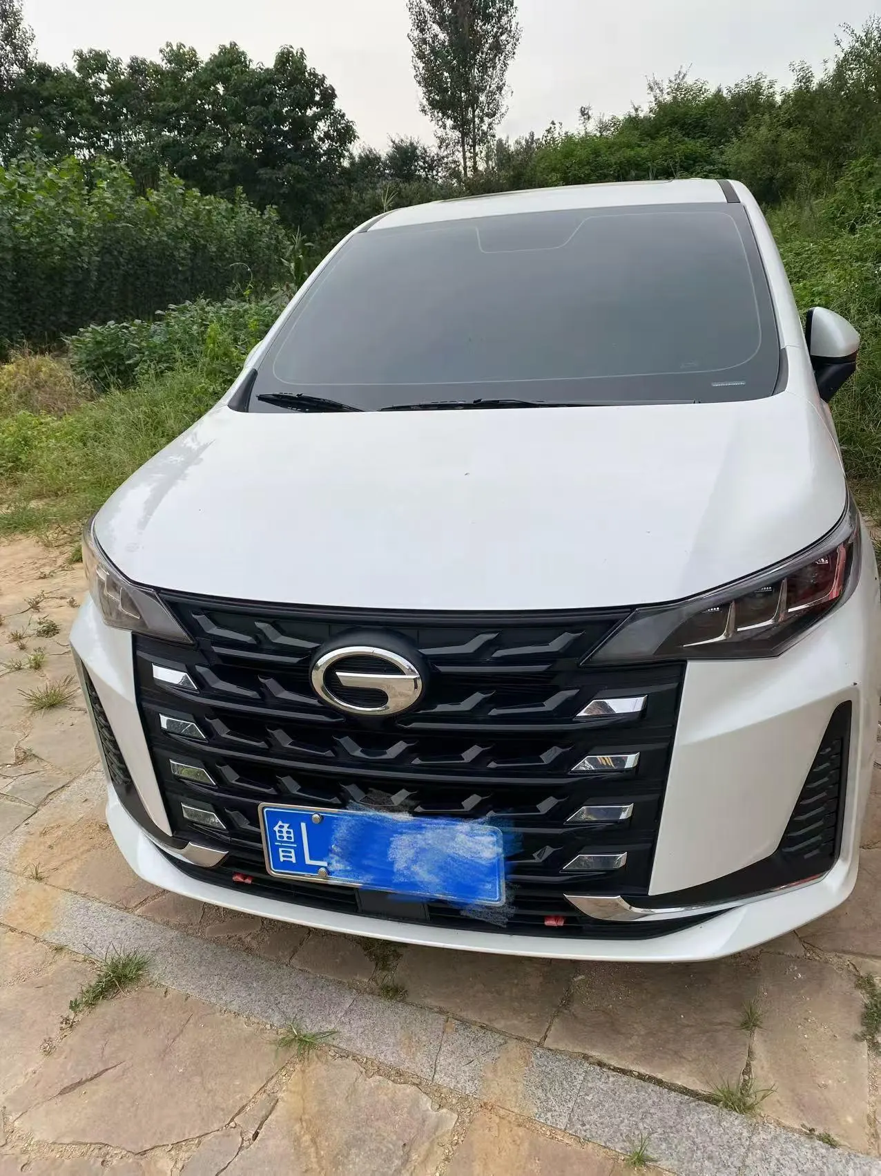 Chuanqi 2025 M6 MAX 1.5T 270T WDCT Deluxe Edition Automatic Gear 2