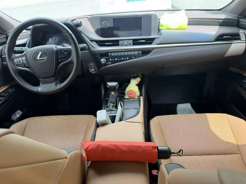 Lexus ES (Imported) 2020 ES200 2.0 Stepless Premium Edition Automatic Gear 6