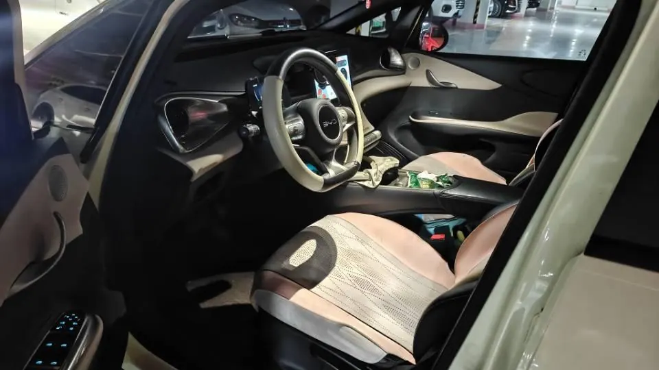 BYD 2025 Dolphin 420km Vital Edition Automatic Gear 3