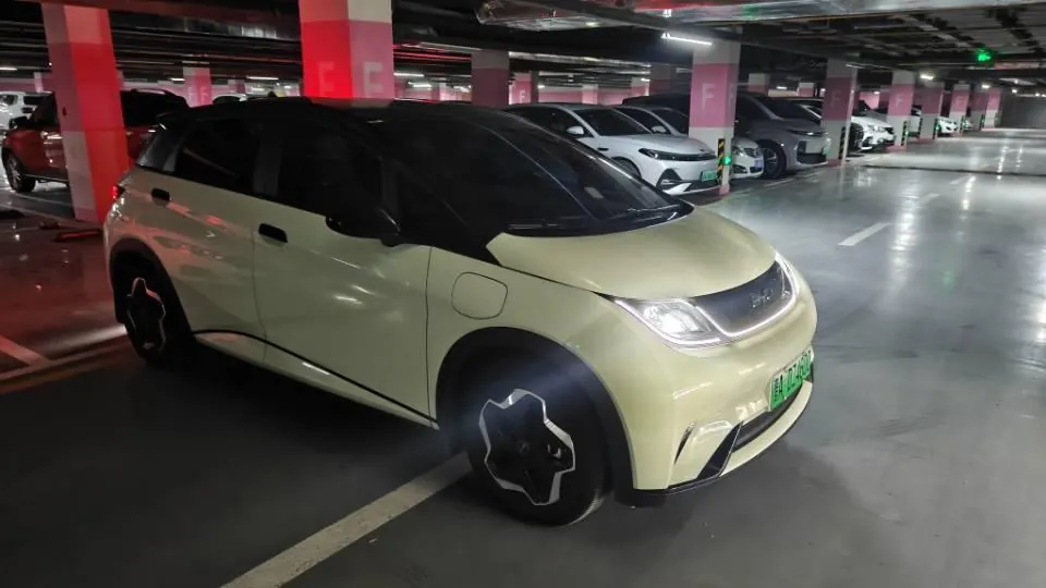 BYD 2025 Dolphin 420km Vital Edition Automatic Gear 5