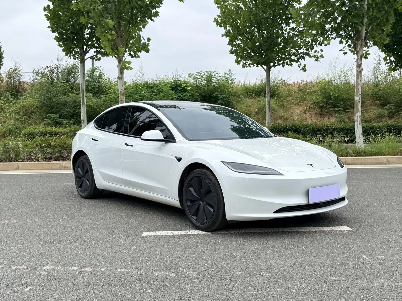 Tesla 2025 Model 3 Rear-Wheel-Drive Edition (facelift) Automatic Transmission 3