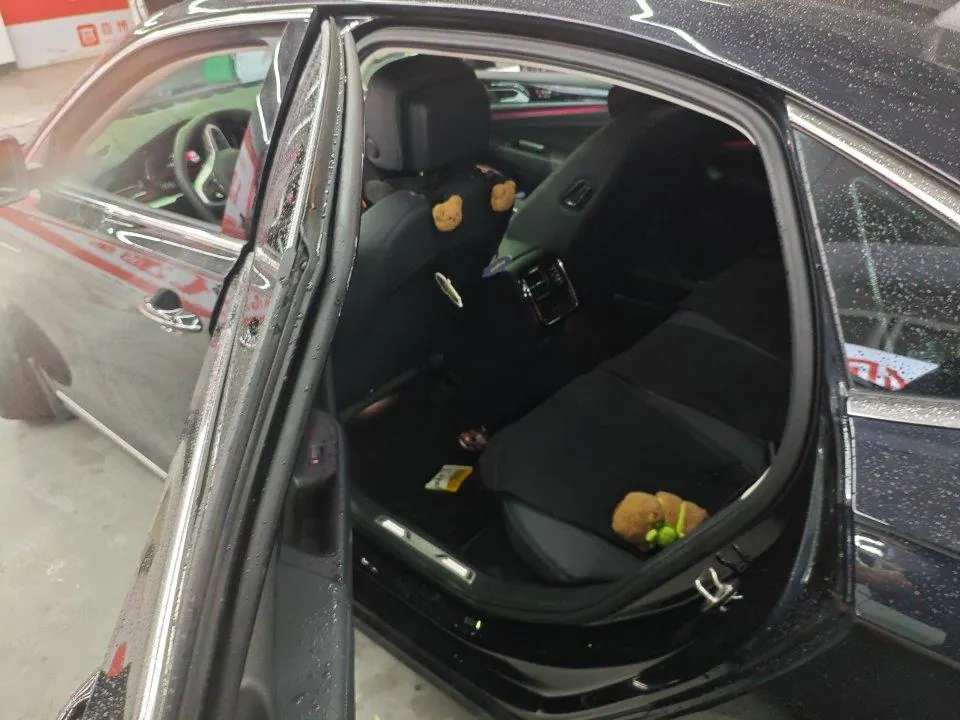 Volkswagen 2025 Passat 2.0TSI 380TSI Subut Longteng Edition Automatic Gear 6