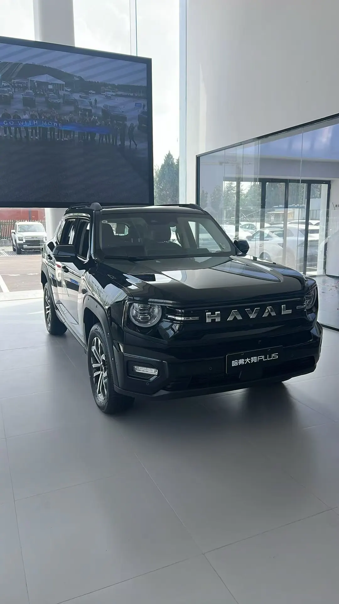 Haval 2026 Big Dog PLUS 2.0T Chaoye Edition Automatic Gear 2