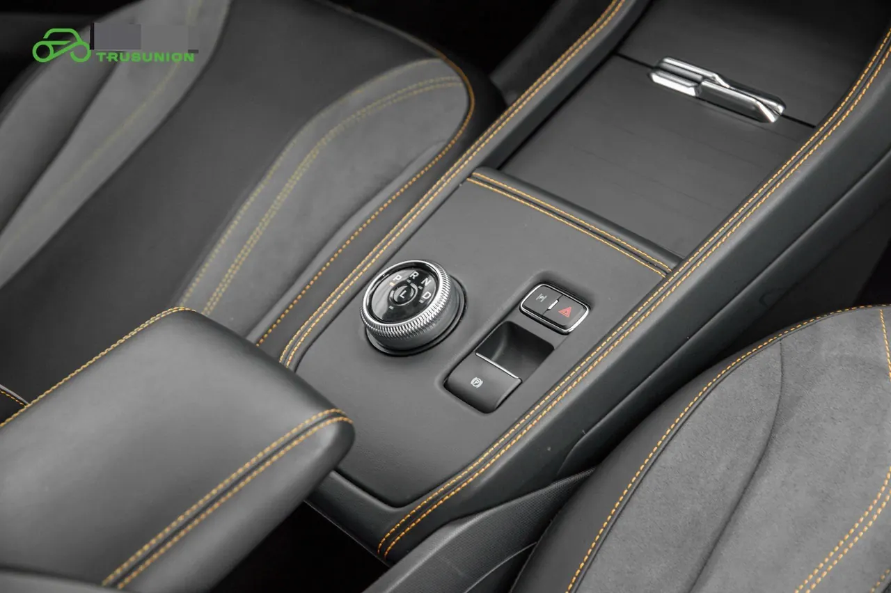 Ford Electric Horse 2024 Mustang Mach-E Wind Chi Edition (Long Endurance) Automatic Gear 11