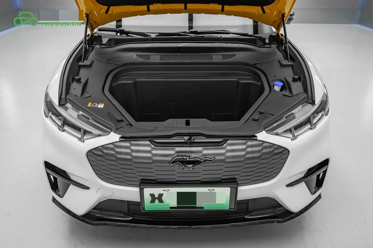 Ford Electric Horse 2024 Mustang Mach-E Wind Chi Edition (Long Endurance) Automatic Gear 13