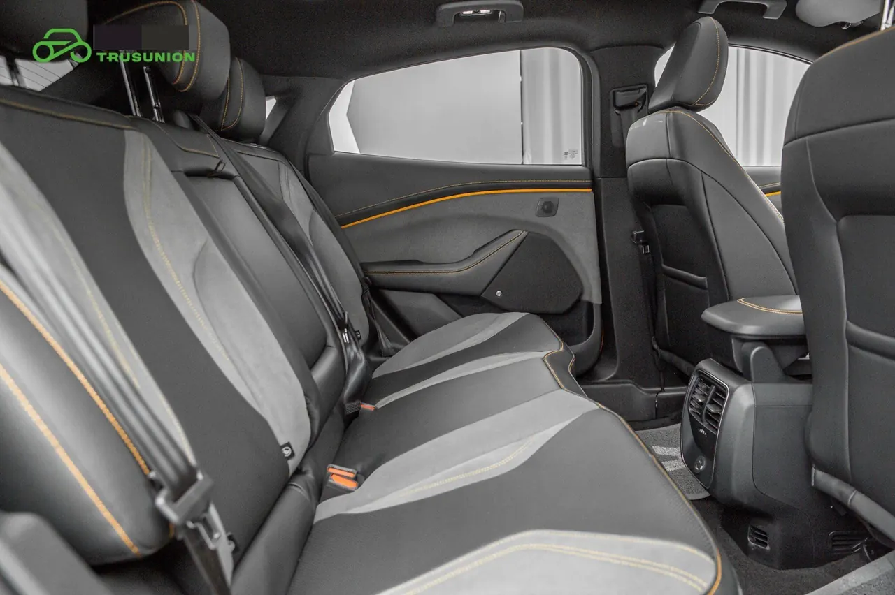 Ford Electric Horse 2024 Mustang Mach-E Wind Chi Edition (Long Endurance) Automatic Gear 9