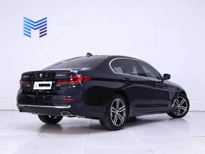 BMW 5 Series 2021 530Li 2.0T Leading Luxury Suit Automatic Gear 2