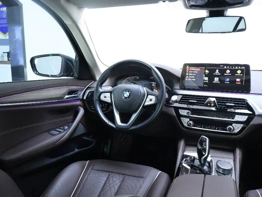BMW 5 Series 2021 530Li 2.0T Leading Luxury Suit Automatic Gear 4