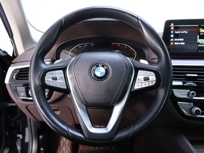 BMW 5 Series 2021 530Li 2.0T Leading Luxury Suit Automatic Gear 6