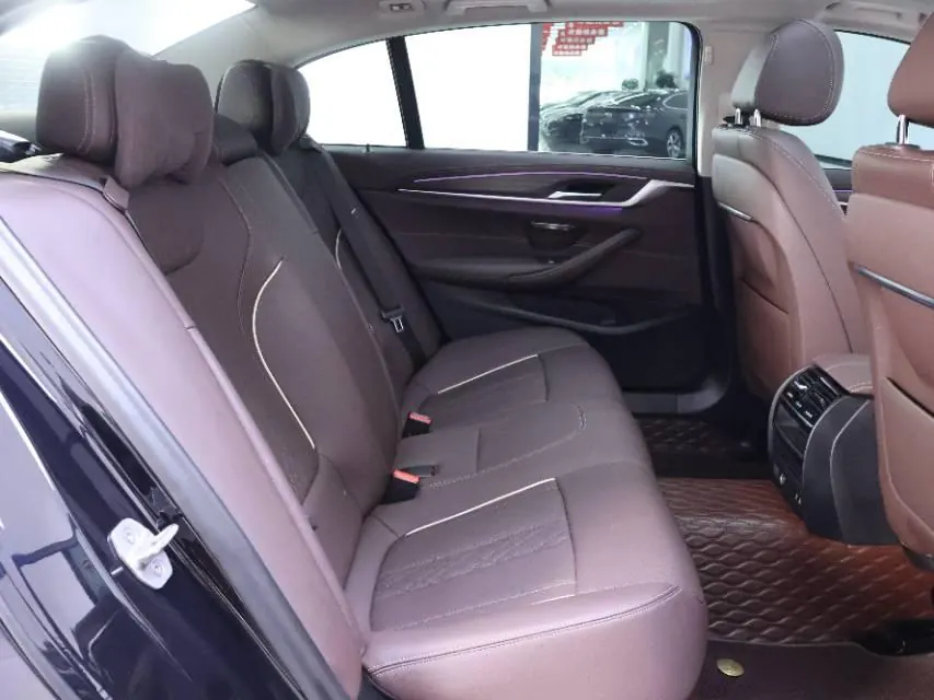 BMW 5 Series 2021 530Li 2.0T Leading Luxury Suit Automatic Gear 7