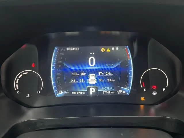 Chery 2021 Ruihu 8 2.0TGDI 390TGDI Kunpeng Edition Automatic Gear 6