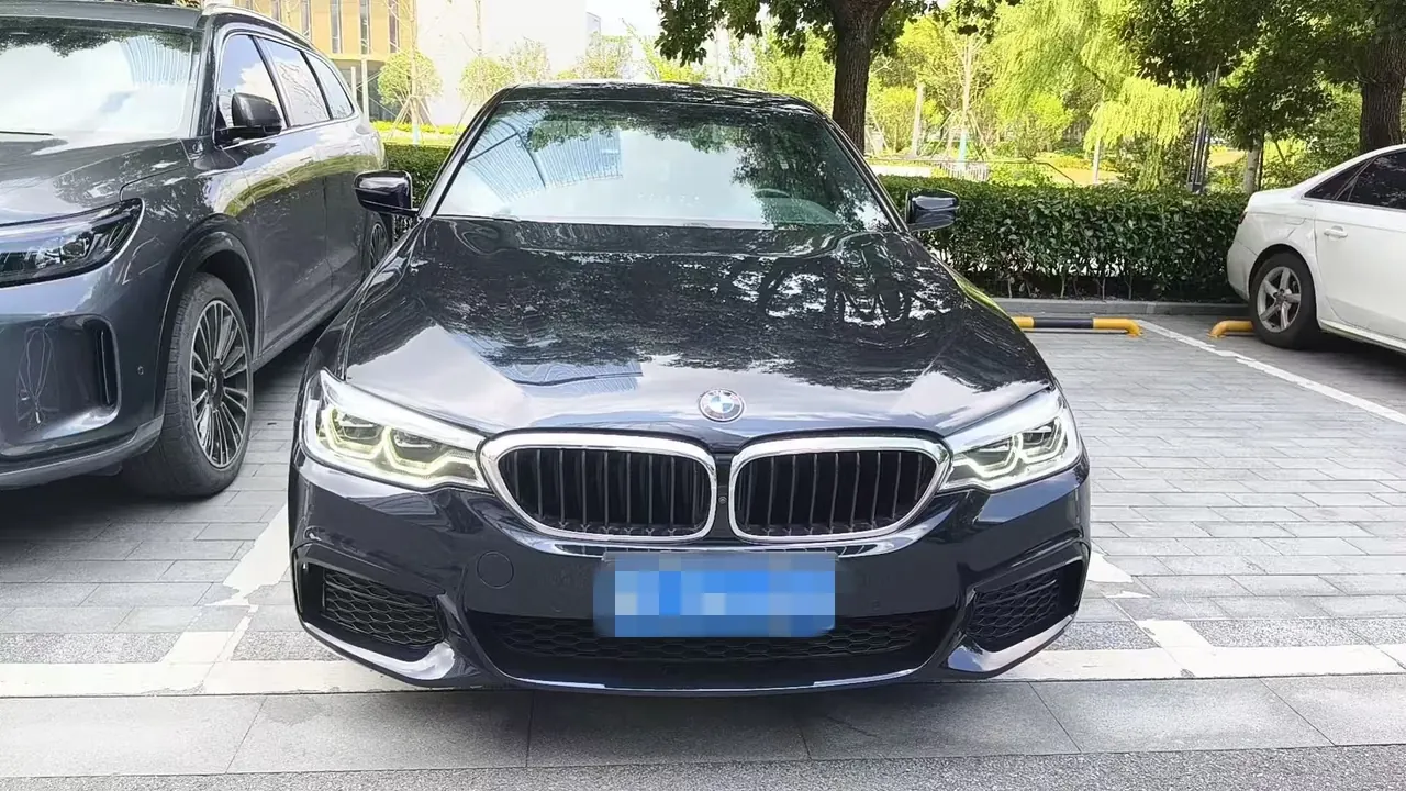 BMW 5 Series 2020 530Li 2.0T Exclusive M Sports Suit Automatic Gear 2