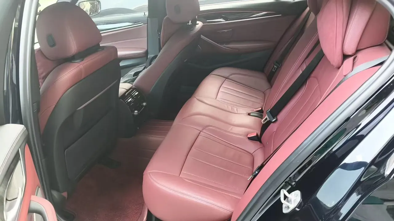 BMW 5 Series 2020 530Li 2.0T Exclusive M Sports Suit Automatic Gear 5