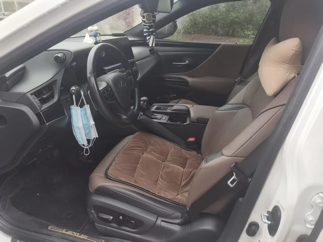 Lexus ES (Imported) 2021 ES260 2.5 Excellence Automatic Gear 7