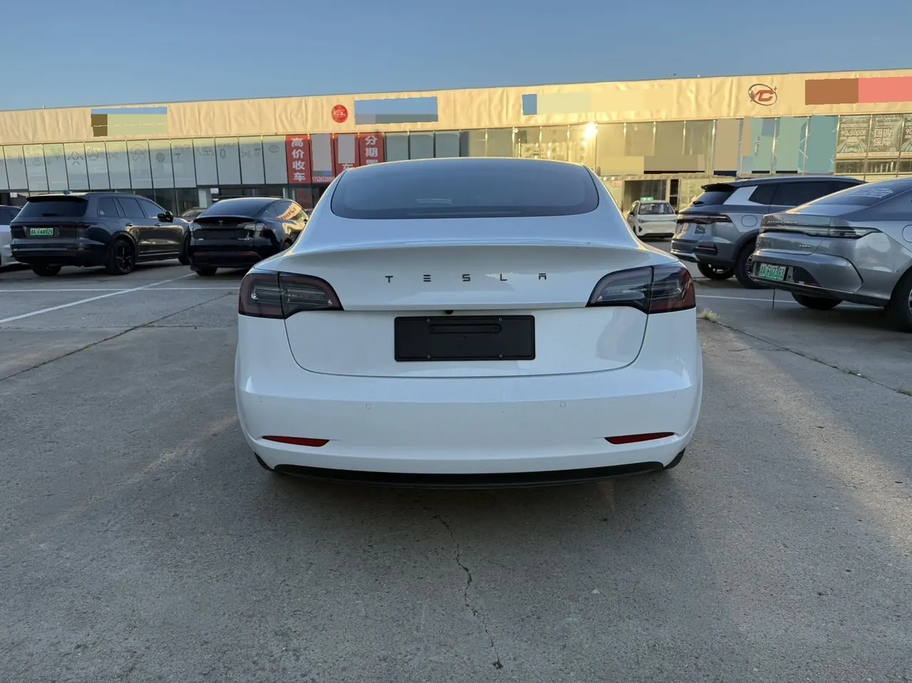 Tesla 2020 Model 3 Standard Endurance Rear Drive Upgraded Automatic Gear 8