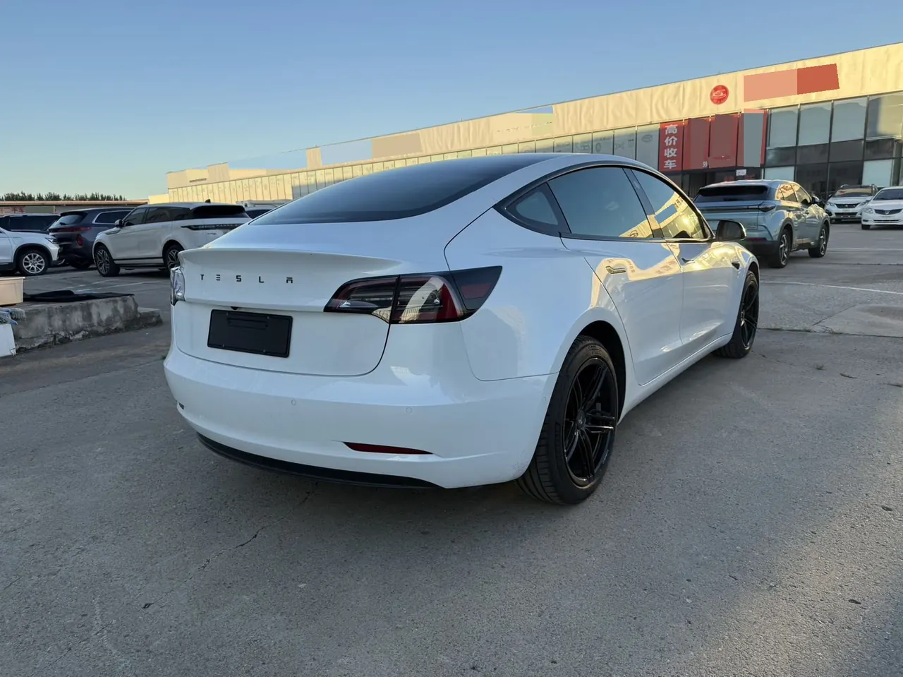 Tesla 2020 Model 3 Standard Endurance Rear Drive Upgraded Automatic Gear 9