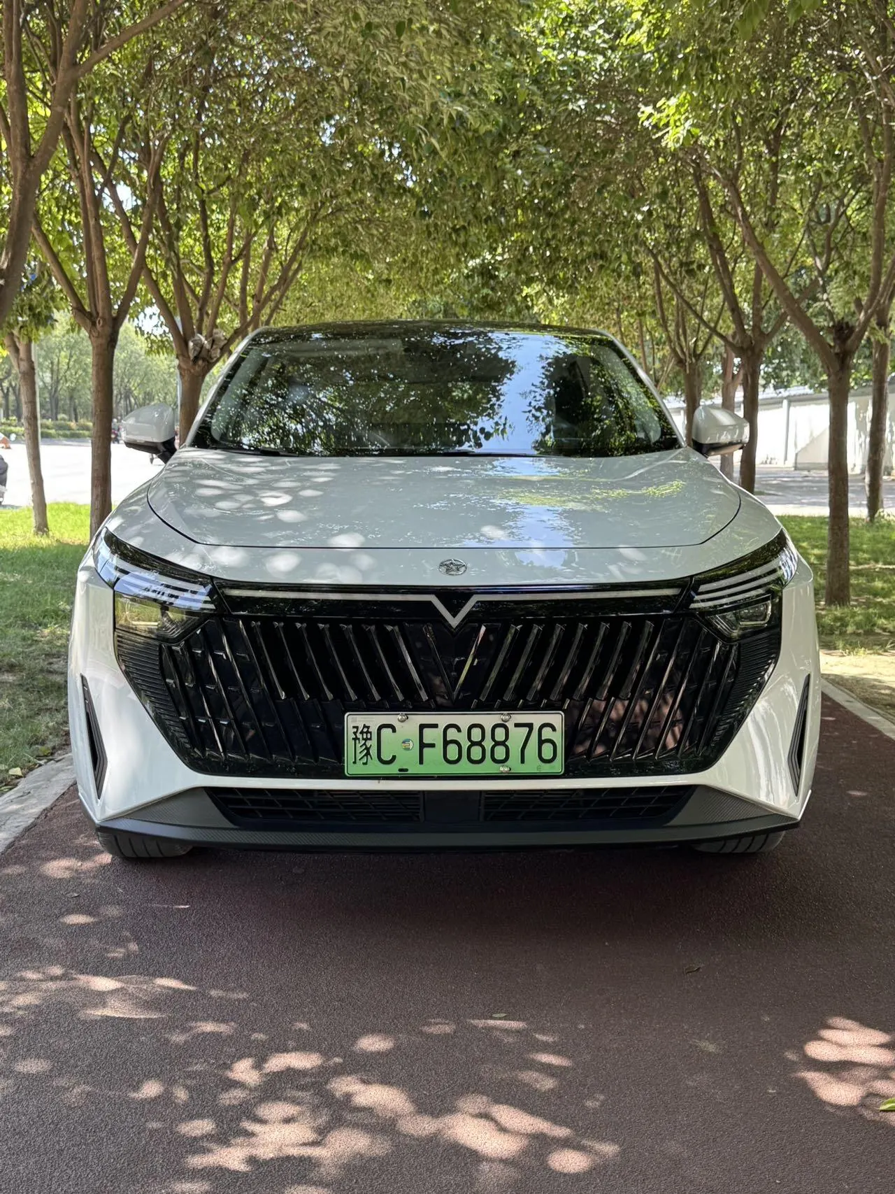 Venucia 2023 large V DD-i super hybrid 1.5T stepless 110km iT version automatic gear 2