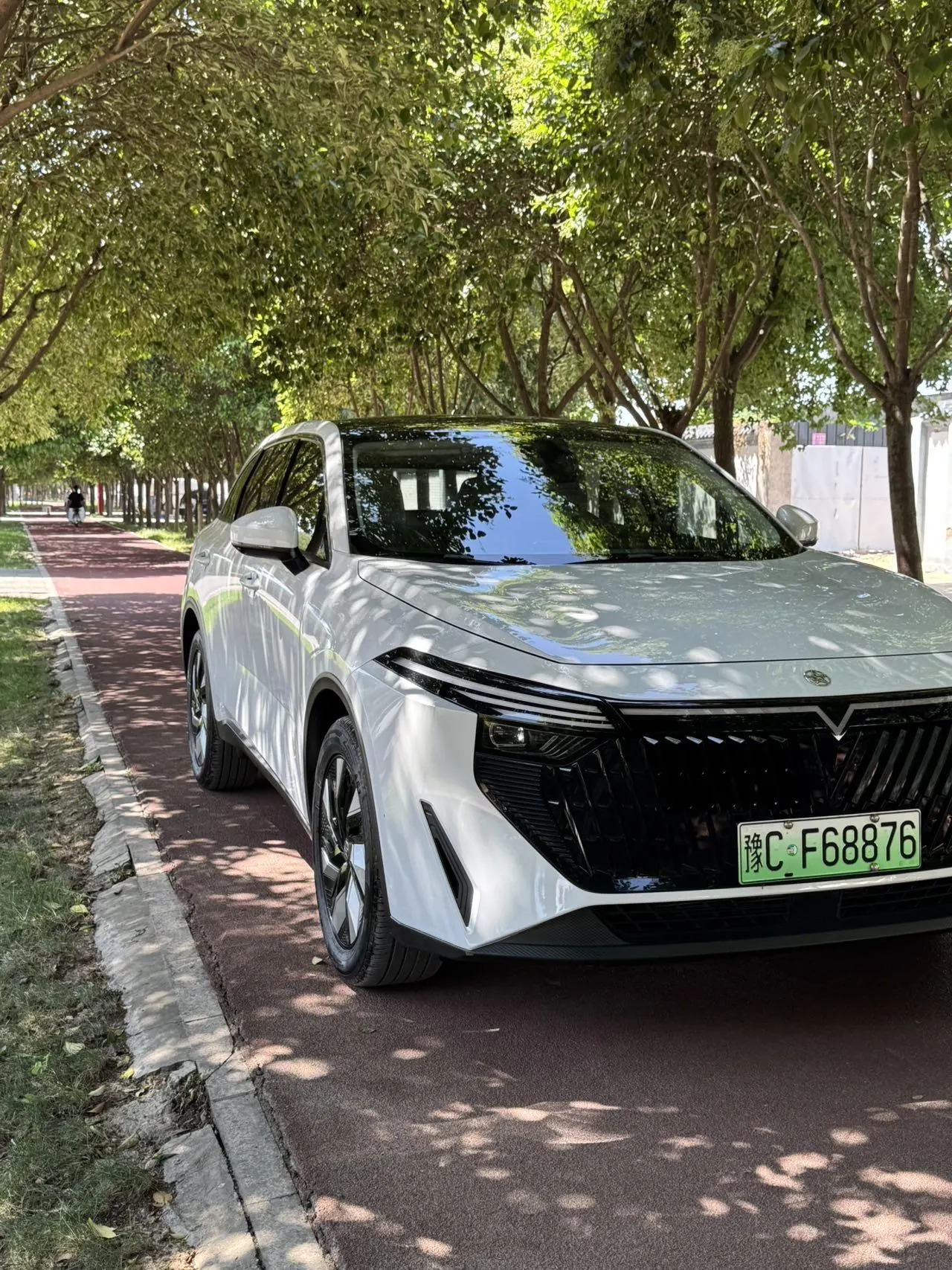 Venucia 2023 large V DD-i super hybrid 1.5T stepless 110km iT version automatic gear 3
