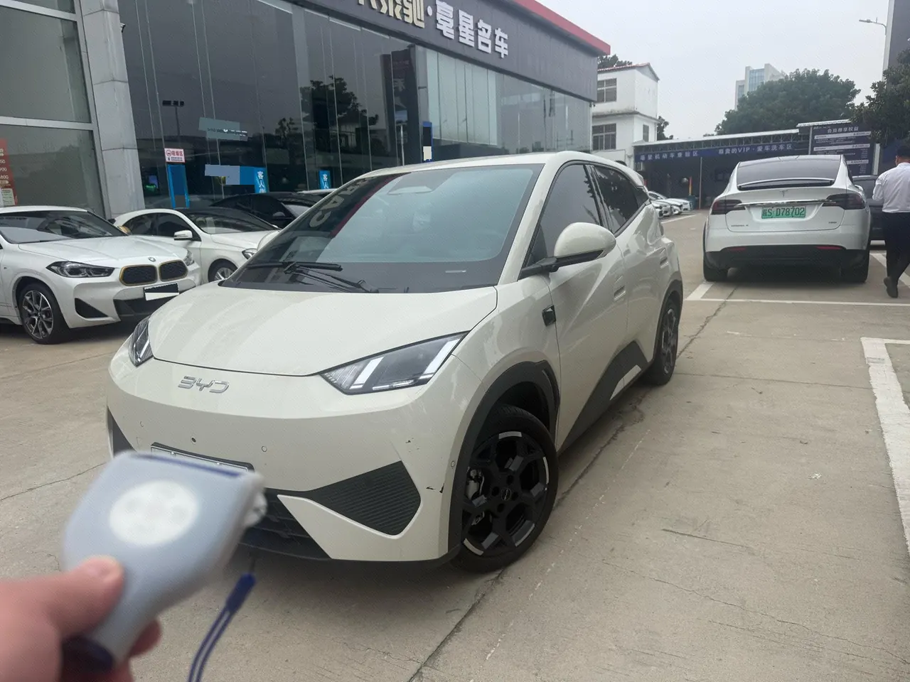 Open image lightbox: BYD 2025 Seagull Smart Driving Edition 305km Free Edition Automatic Gear