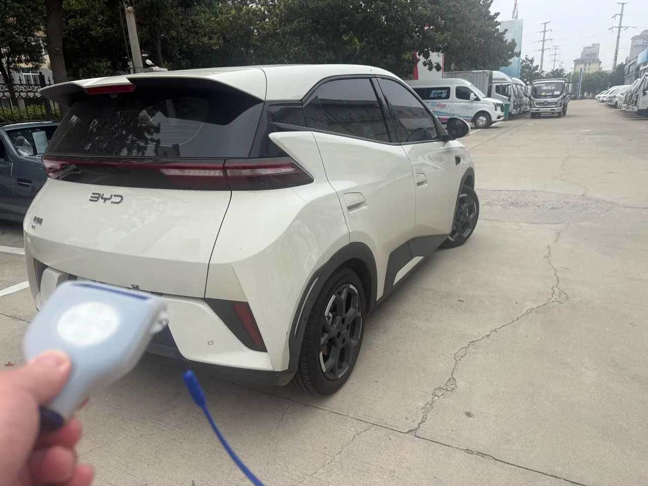 BYD 2025 Seagull Smart Driving Edition 305km Free Edition Automatic Gear 5