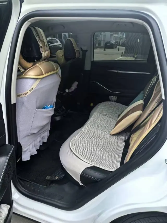 Haval 2026 H6 1.5T Two-Drive Classic Automatic Gear 4