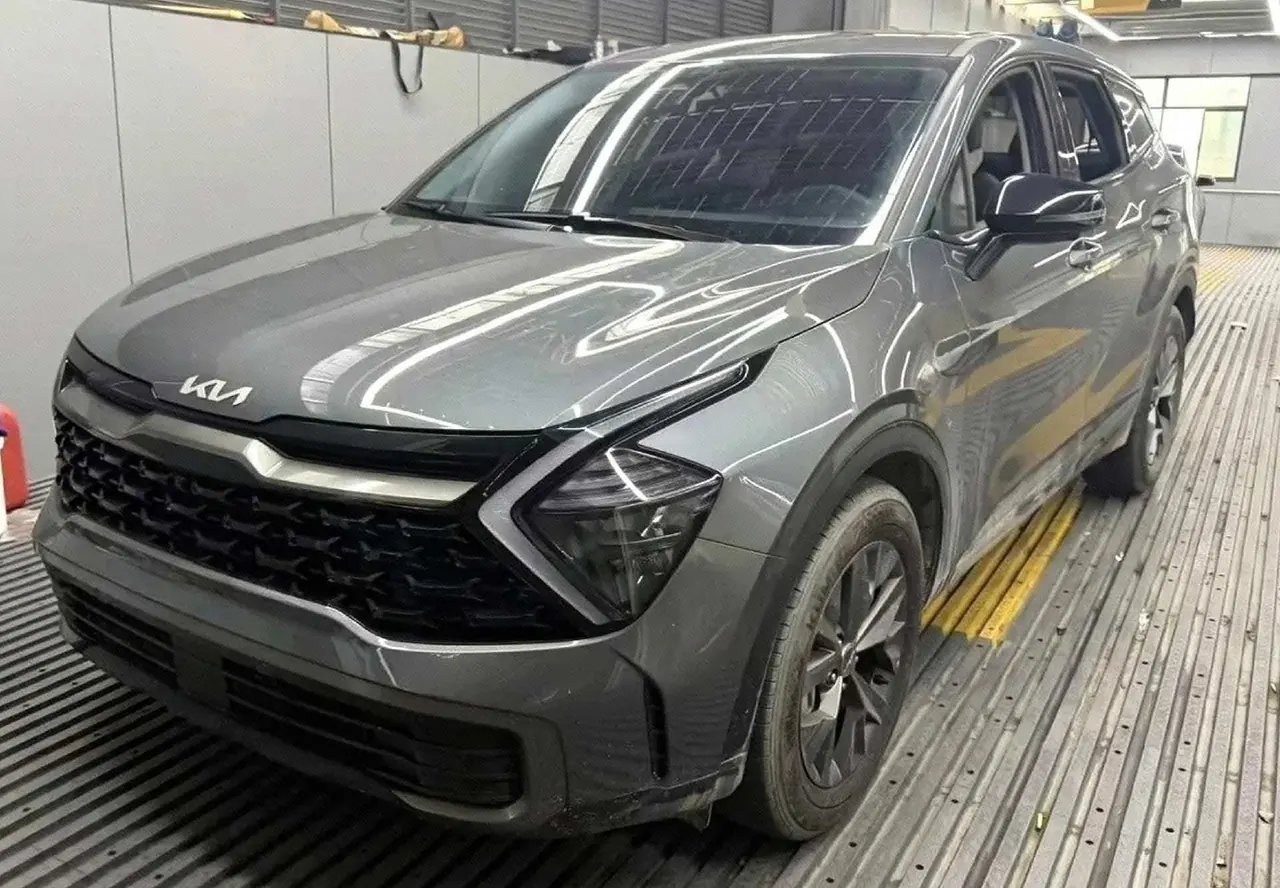 Kia 2025 Lion Platinum Extension World 2.0T Two-wheel Drive Premium Smart Edition Automatic Gear - View 1