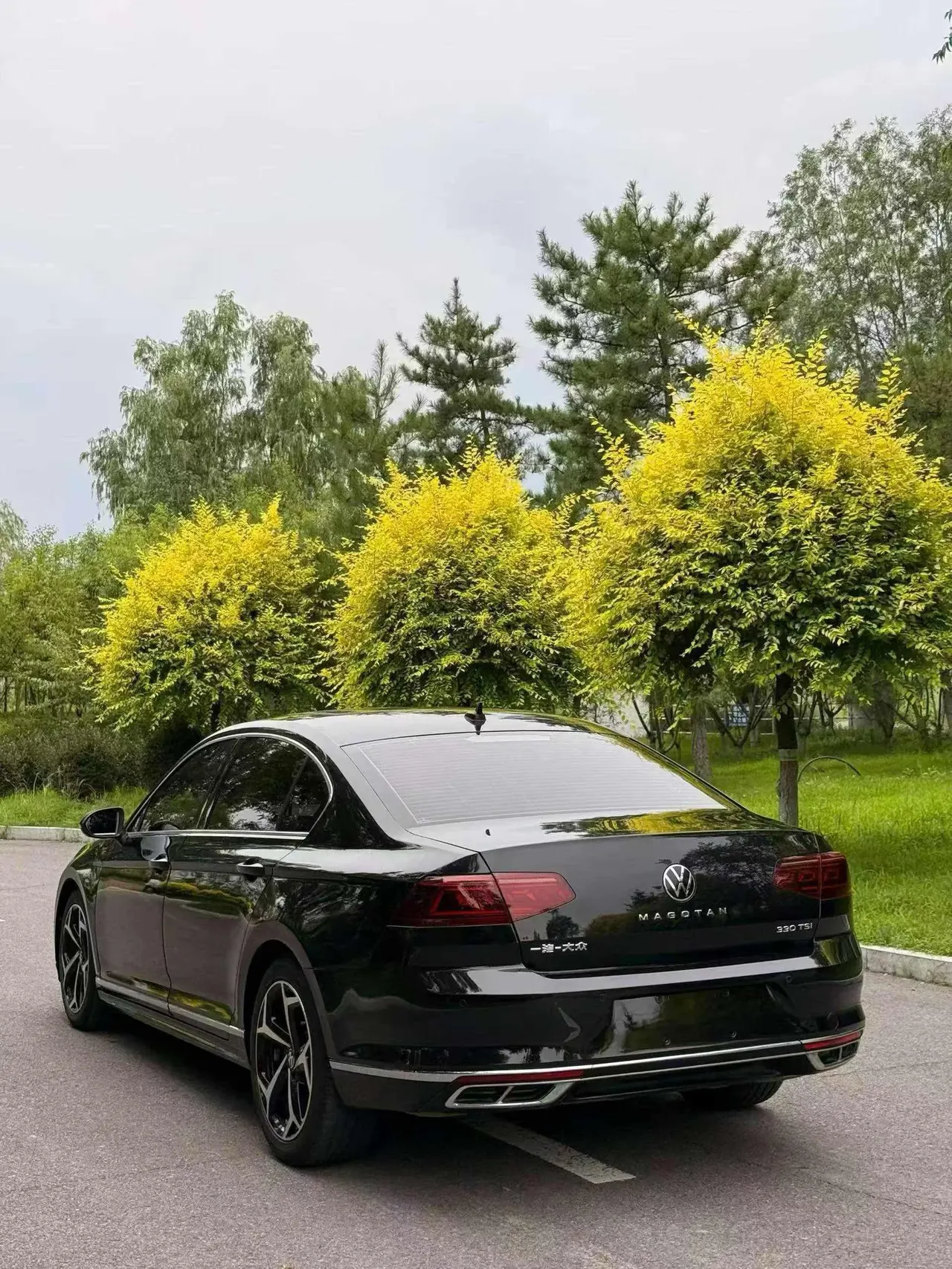 Volkswagen 2023 Magotan 2.0TSI 380TSI 2 million Commemorative Flagship Automatic Gear 7