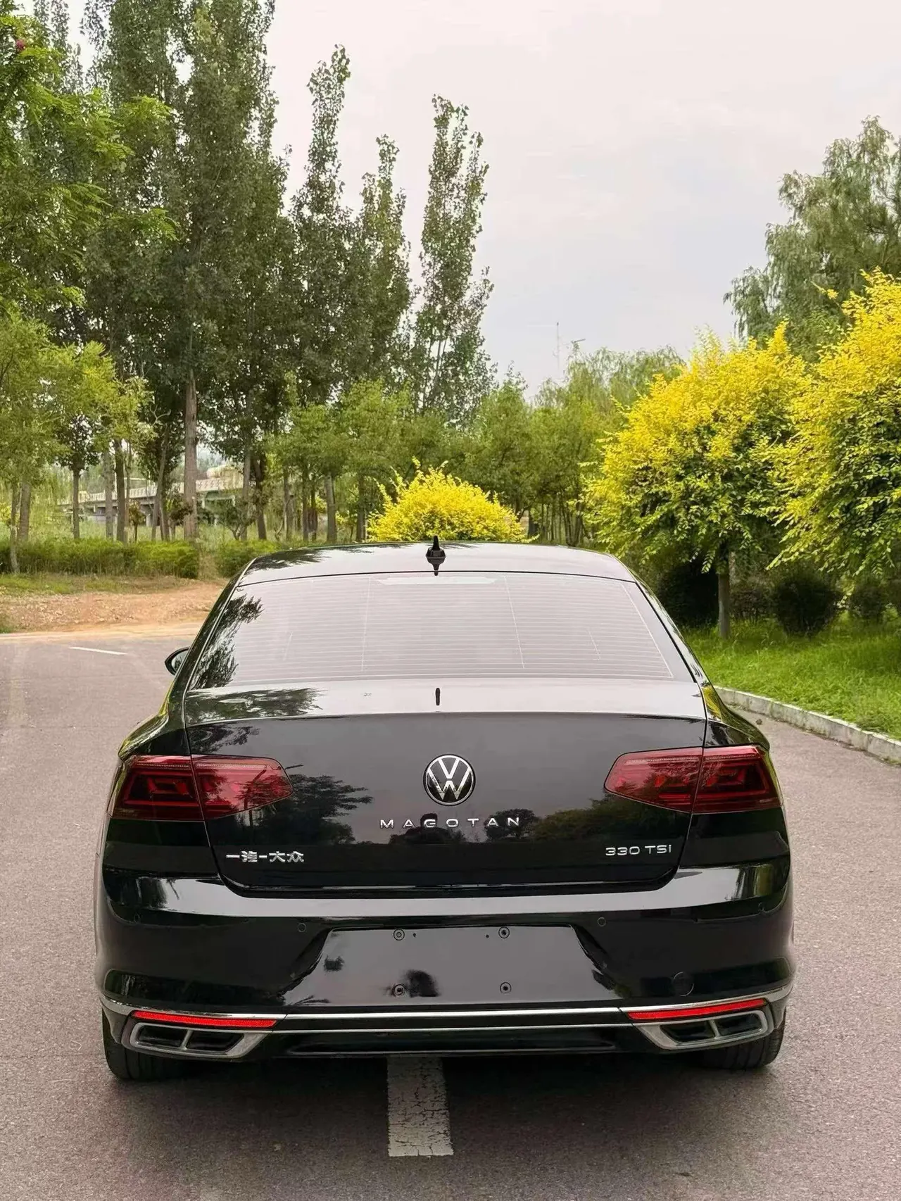 Volkswagen 2023 Magotan 2.0TSI 380TSI 2 million Commemorative Flagship Automatic Gear 8
