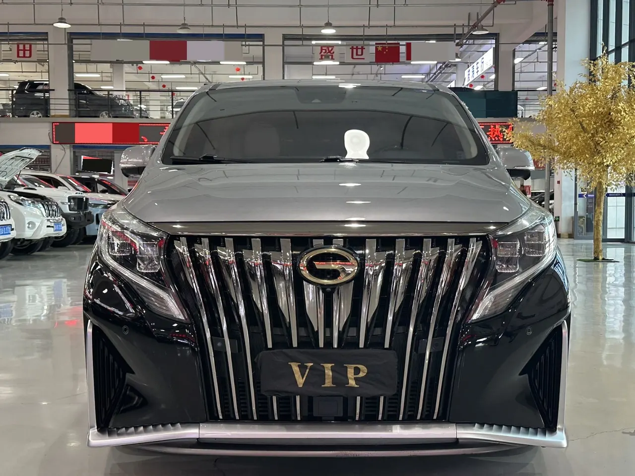 Chuanqi 2021 M8 2.0T 390T Master Series Royal Zun Edition 4-seat Automatic Gear 2