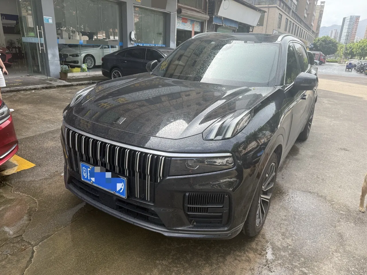 LYNK&amp;CO 2024 LYNK&amp;CO 09 MHEV 2.0T 4-wheel drive sports version 5-seat automatic gear - View 1