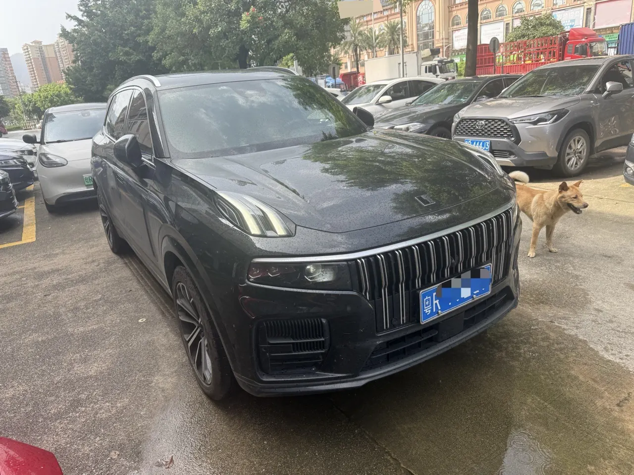 LYNK&amp;CO 2024 LYNK&amp;CO 09 MHEV 2.0T 4-wheel drive sports version 5-seat automatic gear 5