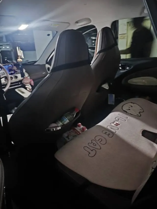 WuLing 2024 Plantronics 333km LingBox Connected Automatic Gear 3