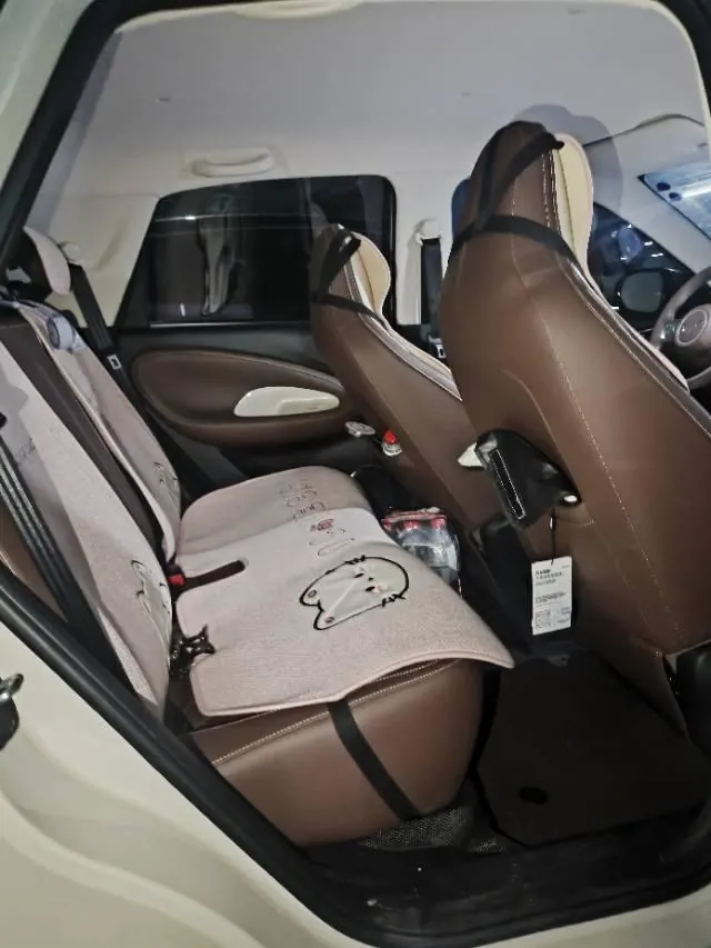 WuLing 2024 Plantronics 333km LingBox Connected Automatic Gear 5
