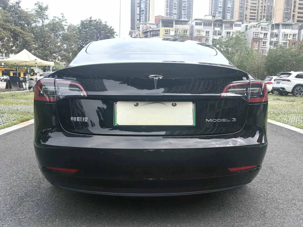 Tesla 2021 Model 3 Standard Endurance Rear Drive Upgraded Automatic Gear 8