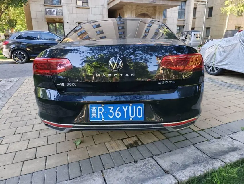 Volkswagen 2020 Magotan 2.0TSI 330TSI luxury automatic transmission 6