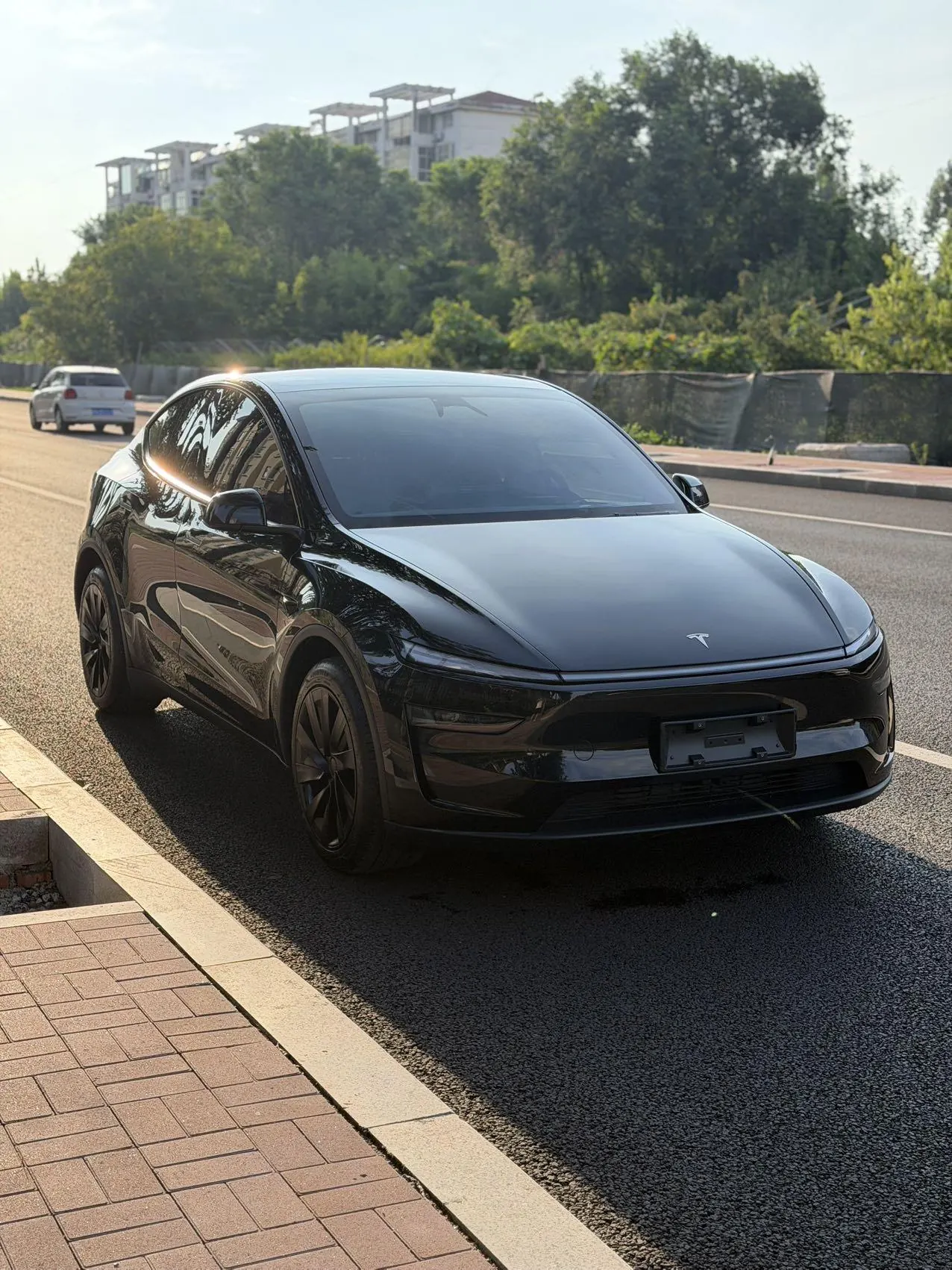 Tesla 2025 Model Y rear-wheel drive version automatic transmission 2