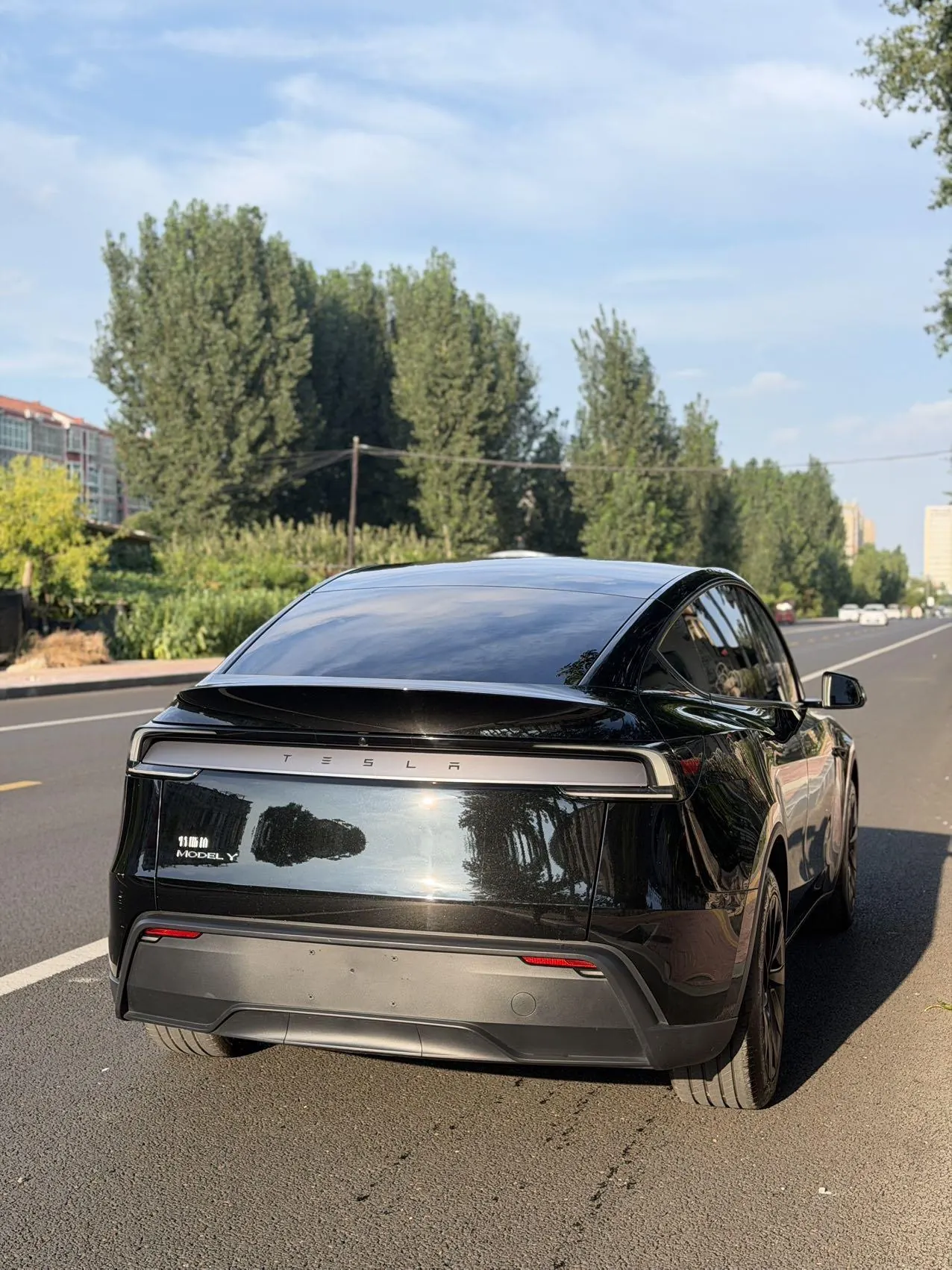 Tesla 2025 Model Y rear-wheel drive version automatic transmission 4