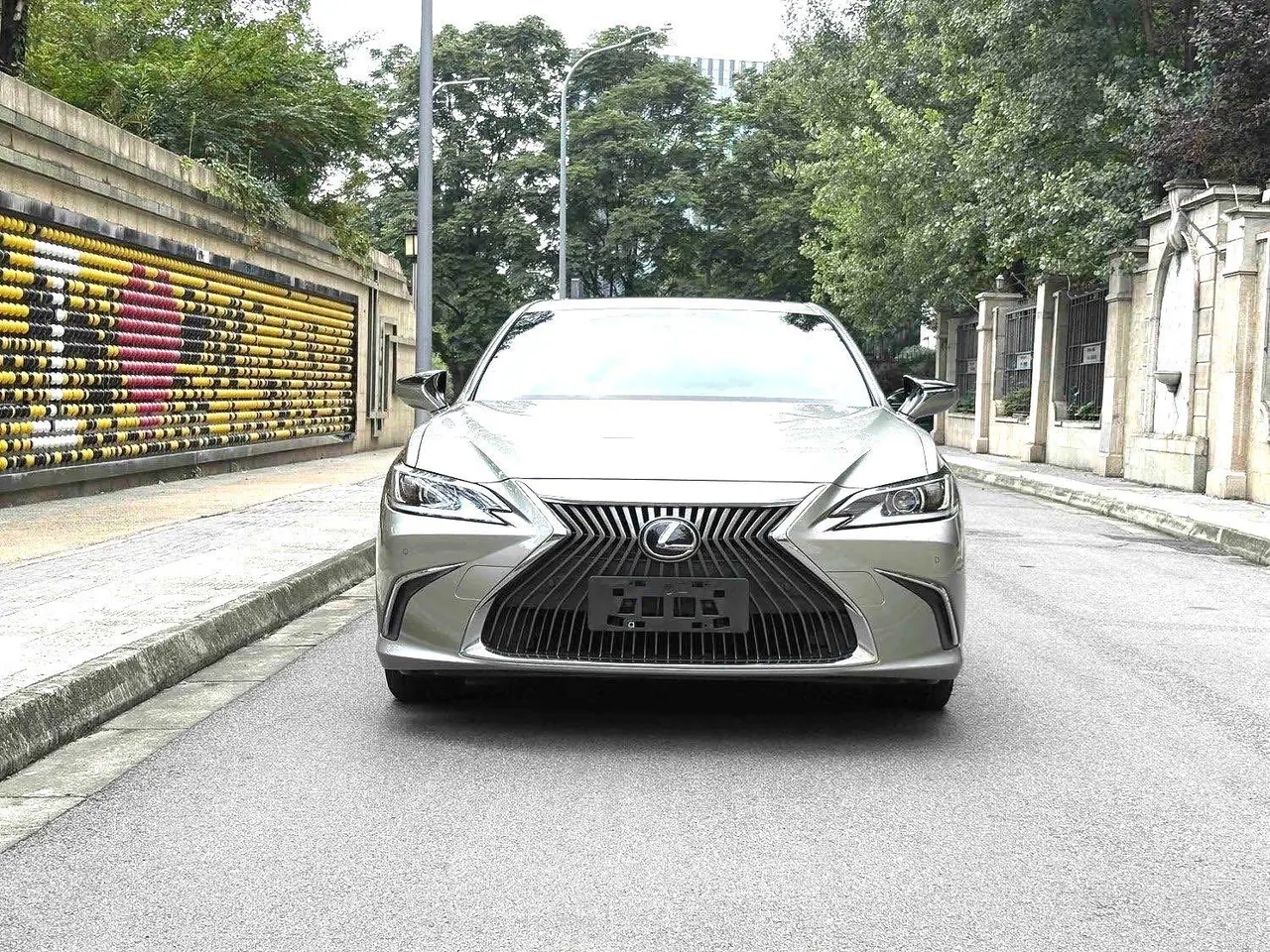 Lexus ES (Imported) 2020 ES200 2.0 Stepless Deluxe Edition Automatic Gear 2