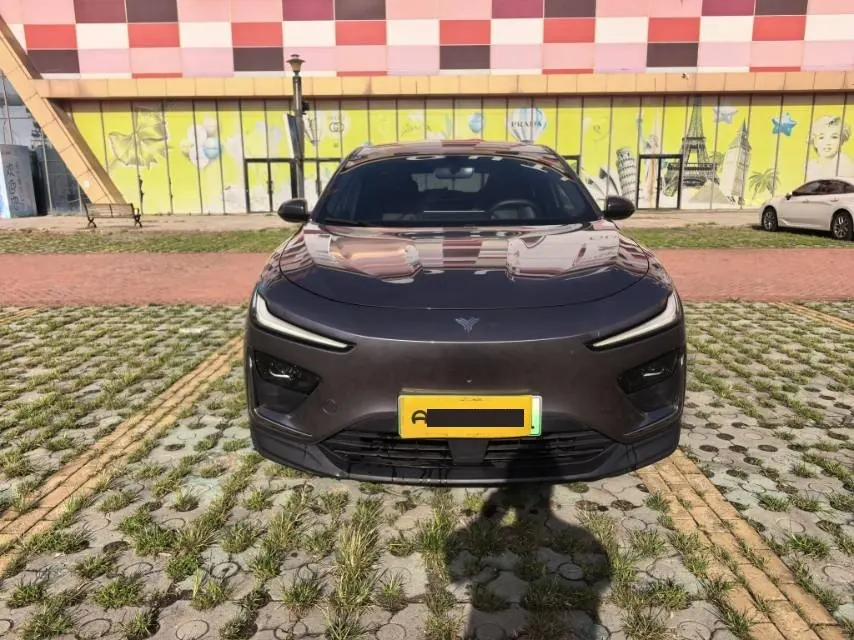 Neta 2023 Neta X 500 Lite automatic 2
