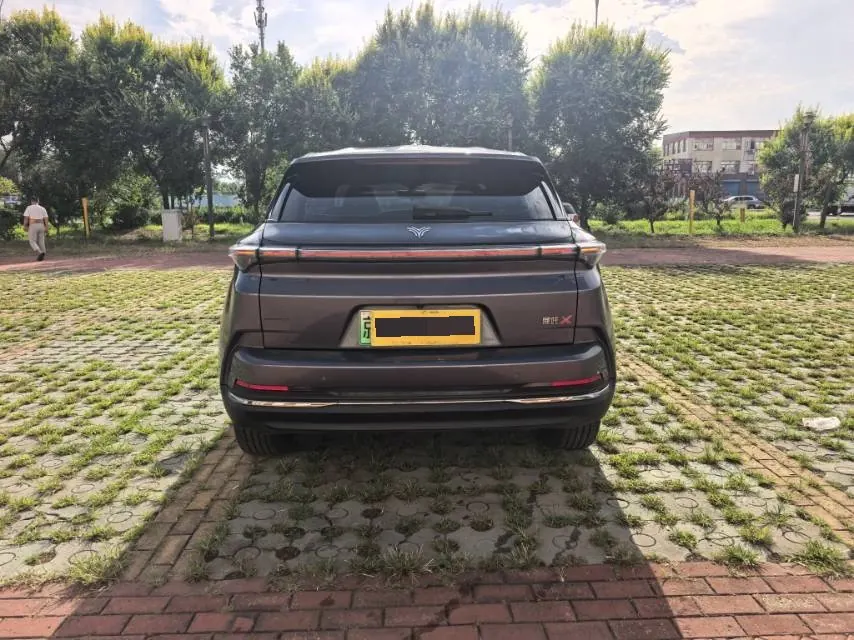 Neta 2023 Neta X 500 Lite automatic 6