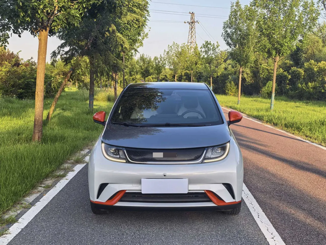 BYD 2021 Dolphin 405km Fashion Edition Automatic 2