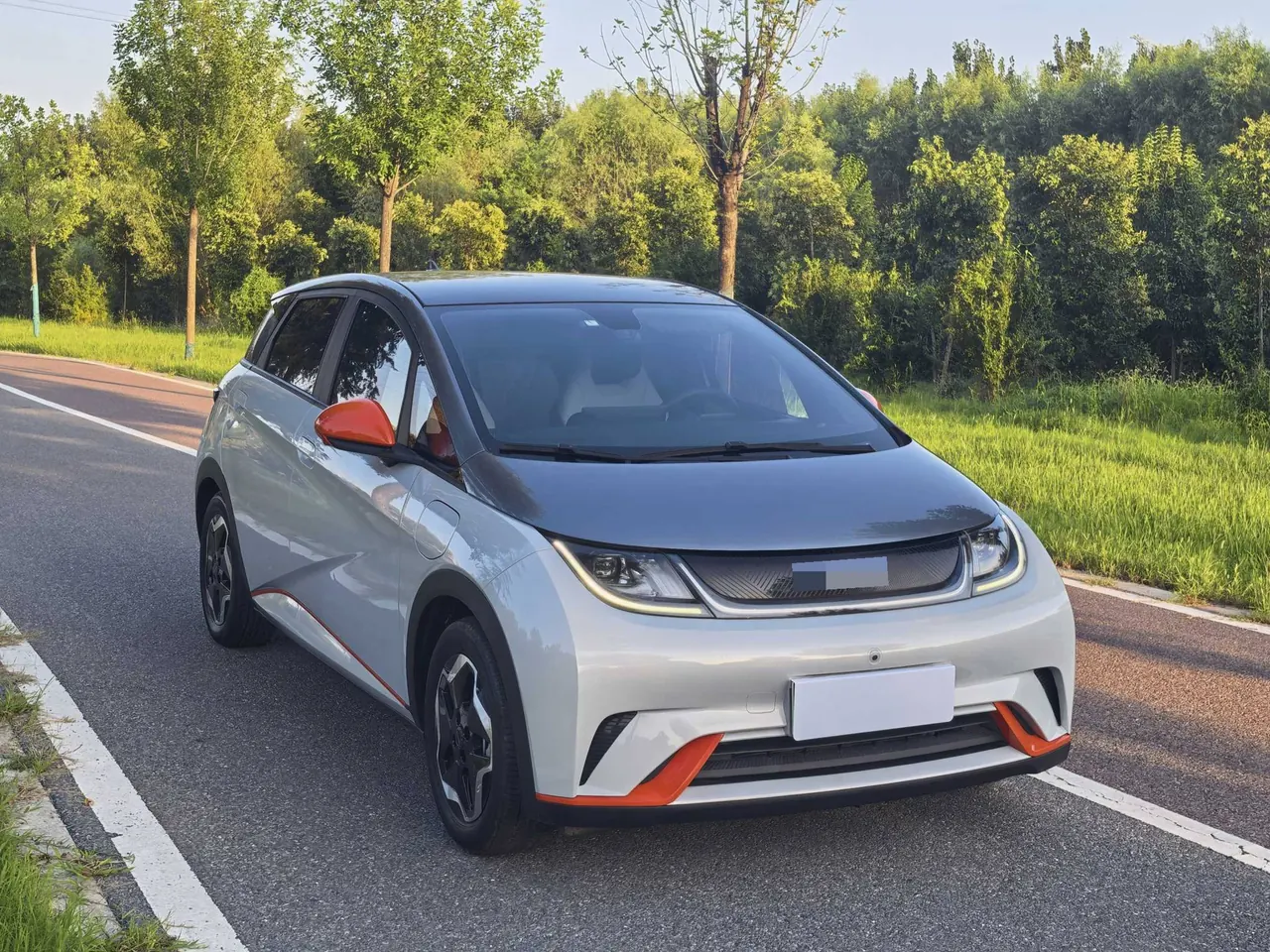 BYD 2021 Dolphin 405km Fashion Edition Automatic 3