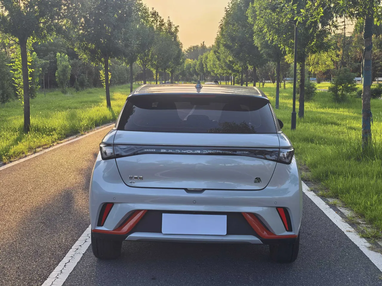 BYD 2021 Dolphin 405km Fashion Edition Automatic 8